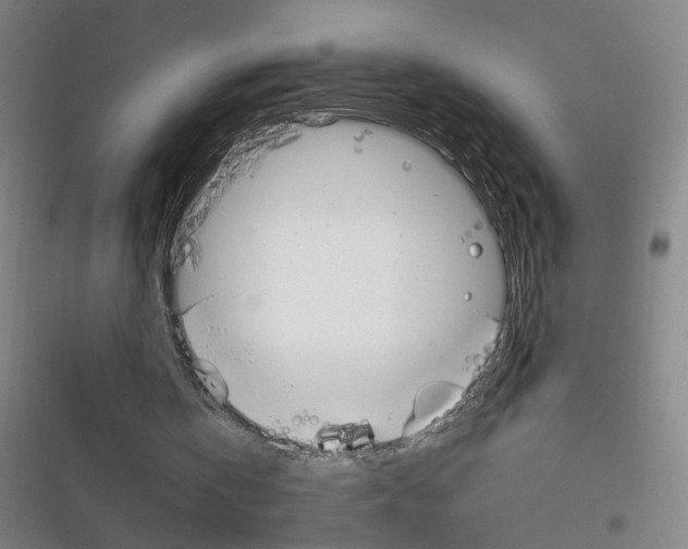 X0000116800146201001081341