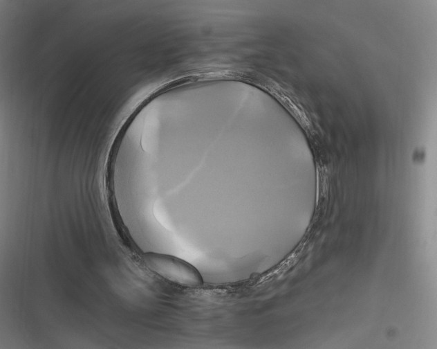 X0000116800147201001081341