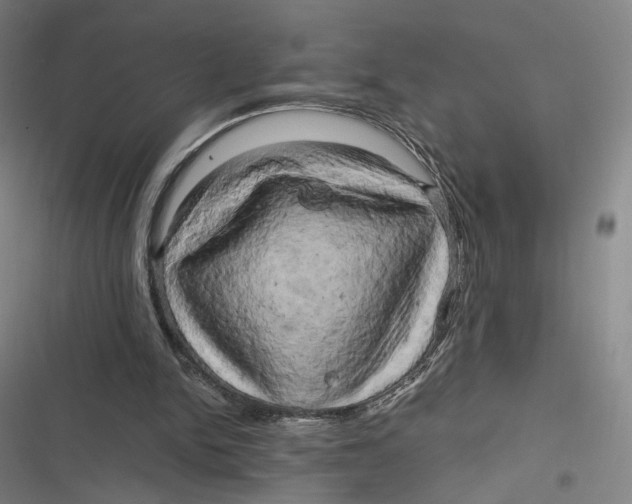 X0000116800150201001081341