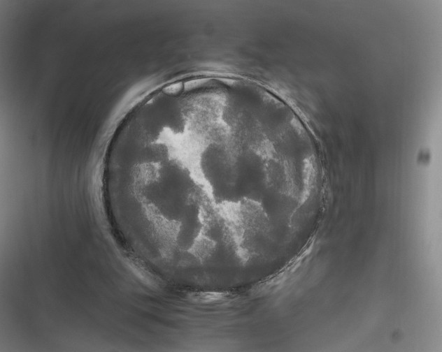 X0000116800151201001081341
