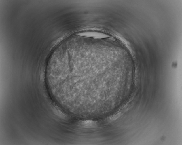 X0000116800153201001081342