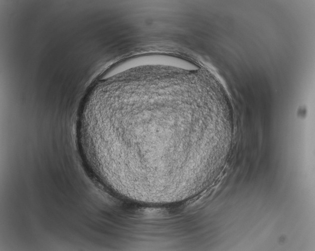 X0000116800154201001081342