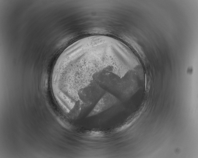 X0000116800157201001081342
