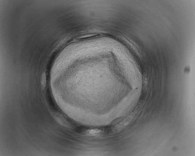 X0000116800158201001081342