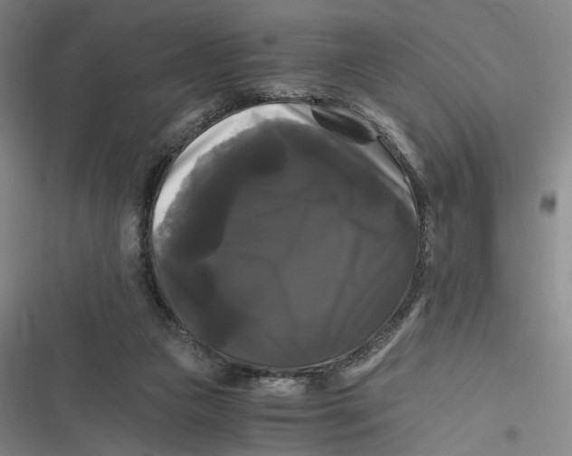 X0000116800161201001081342