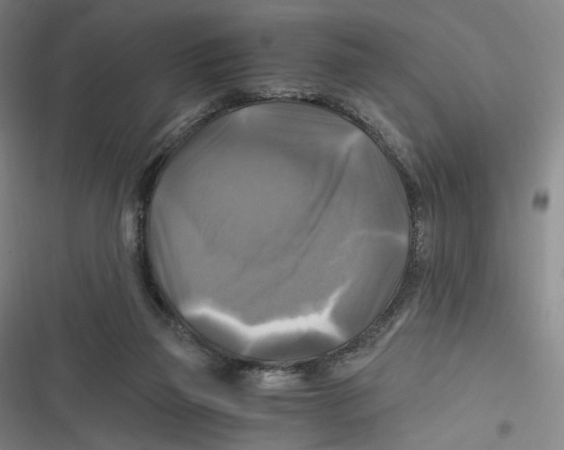 X0000116800165201001081342