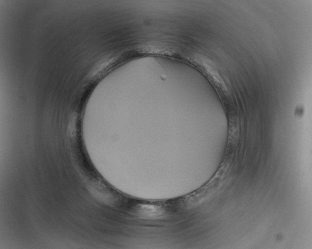 X0000116800167201001081342