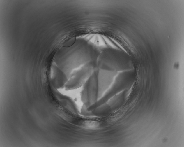 X0000116800169201001081342