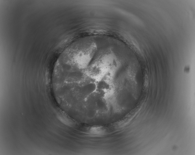 X0000116800173201001081342
