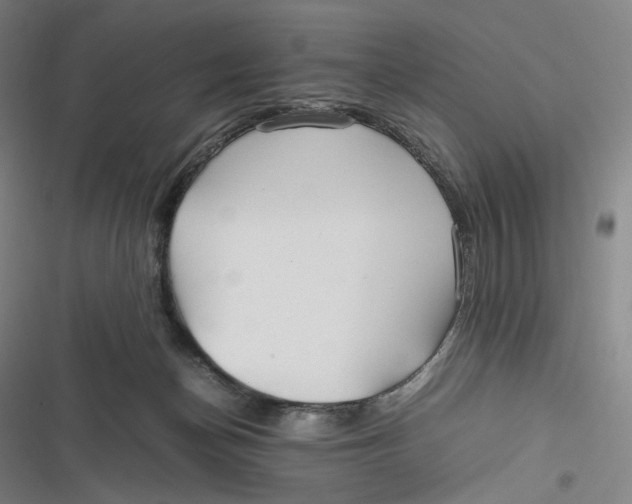 X0000116800174201001081342