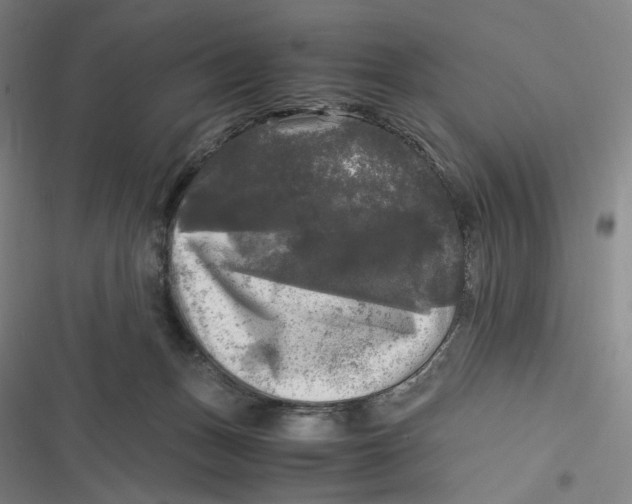 X0000116800175201001081342