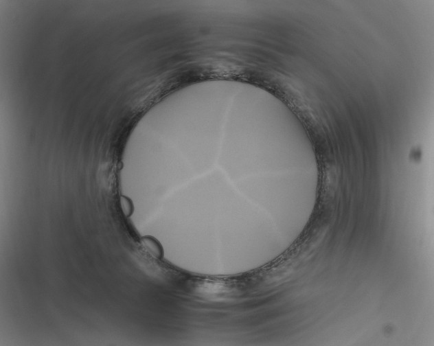 X0000116800177201001081342