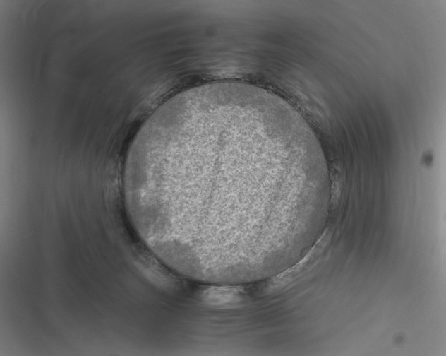 X0000116800179201001081342