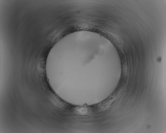 X0000116800181201001081342