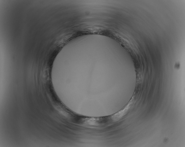 X0000116800182201001081342