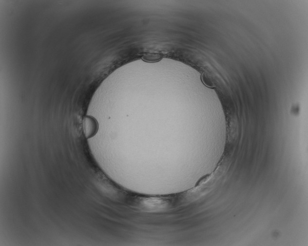 X0000116800183201001081342