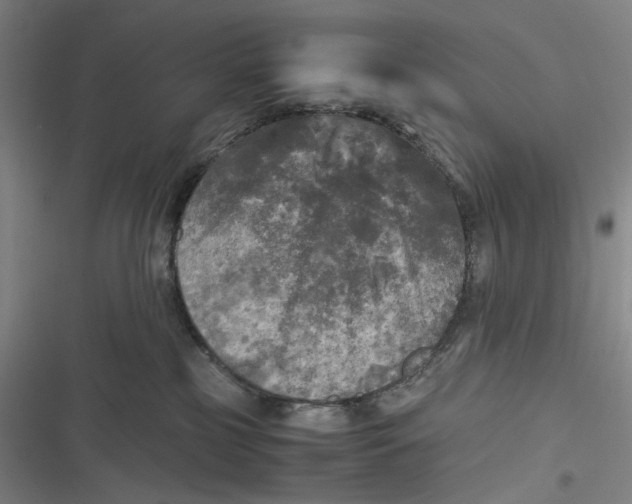 X0000116800185201001081342