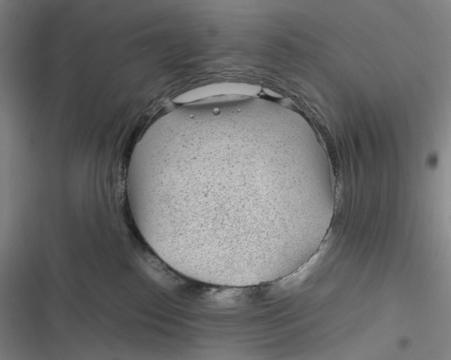 X0000116800186201001081342