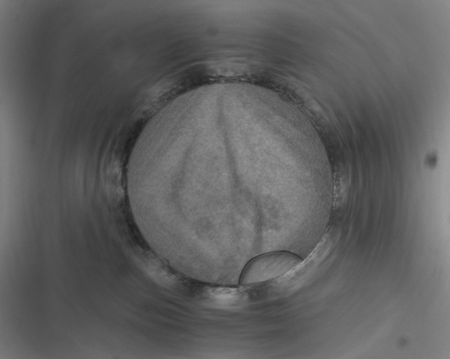 X0000116800187201001081342
