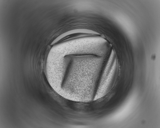 X0000116800190201001081342