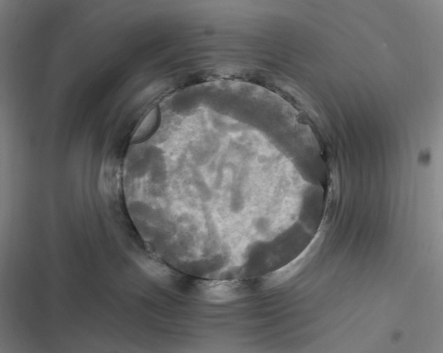 X0000116800191201001081342