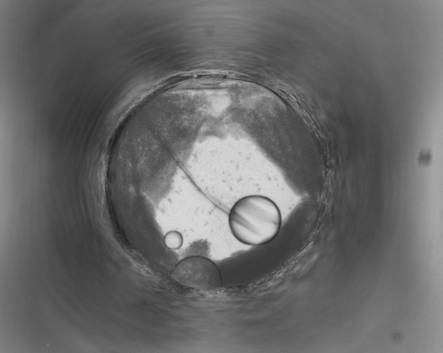 X0000116800194201001081341