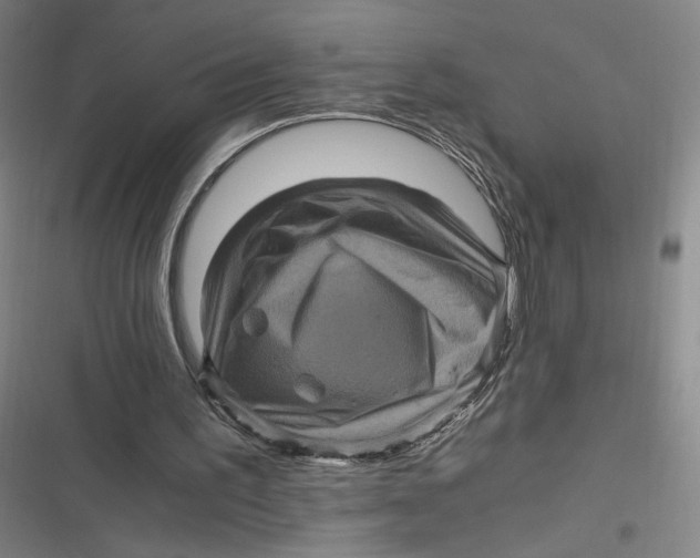 X0000116800195201001081341