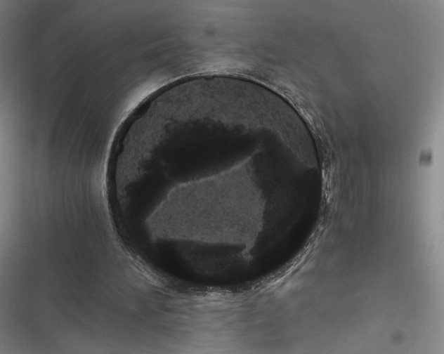 X0000116800196201001081341