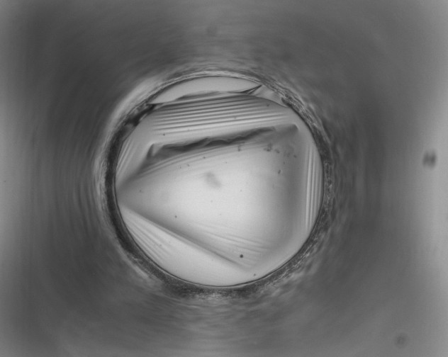 X0000116800197201001081341