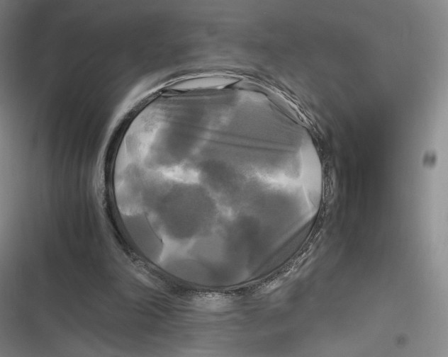X0000116800198201001081341