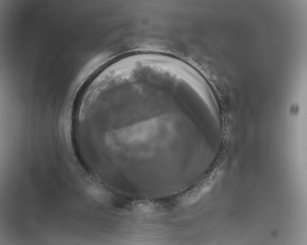 X0000116800199201001081341