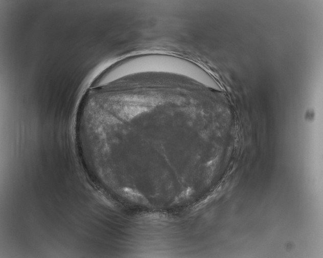 X0000116800200201001081341