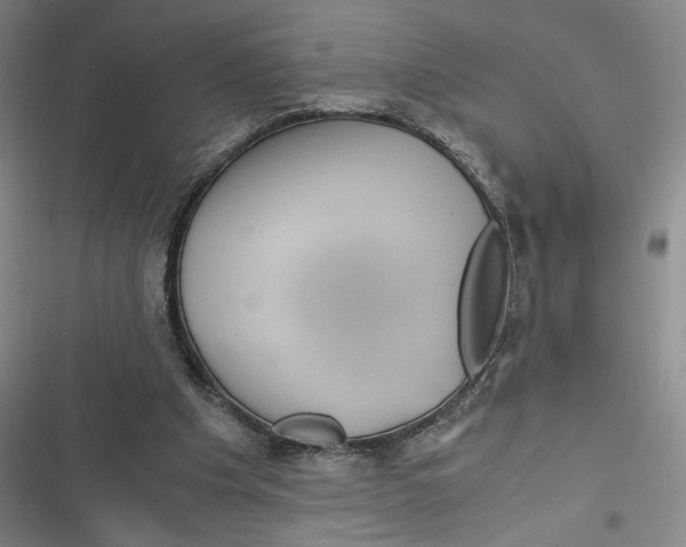 X0000116800201201001081341