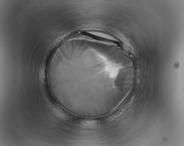 X0000116800202201001081341