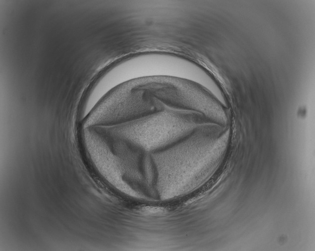 X0000116800203201001081341