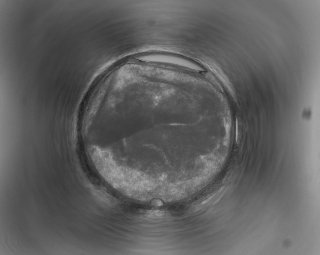 X0000116800204201001081341