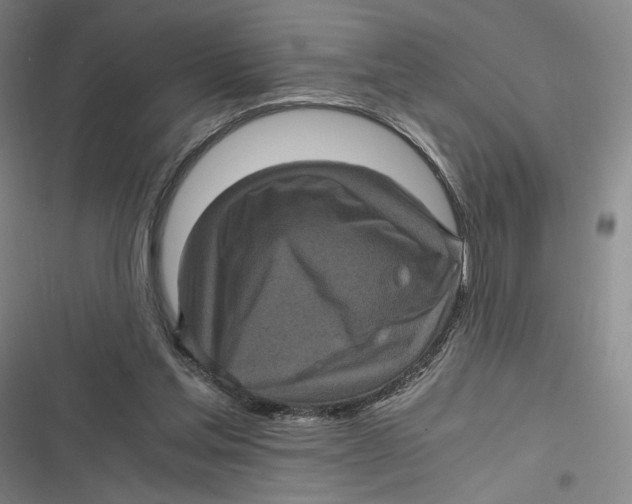 X0000116800205201001081341