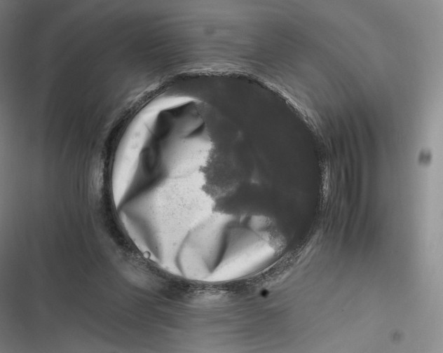 X0000116800206201001081341