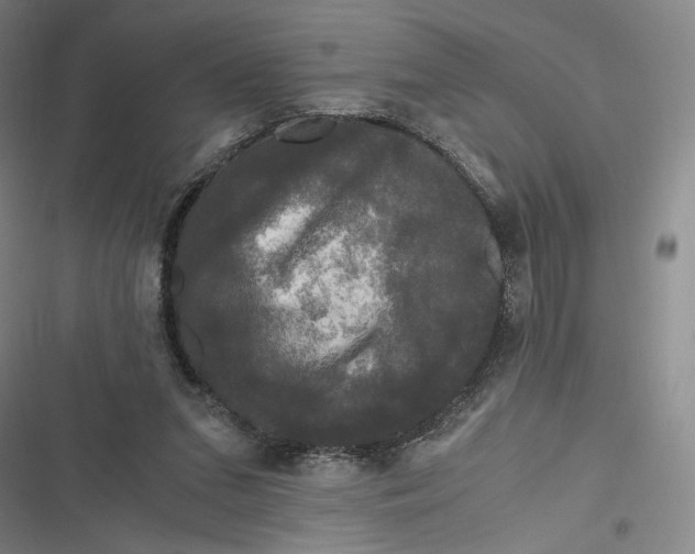 X0000116800207201001081341