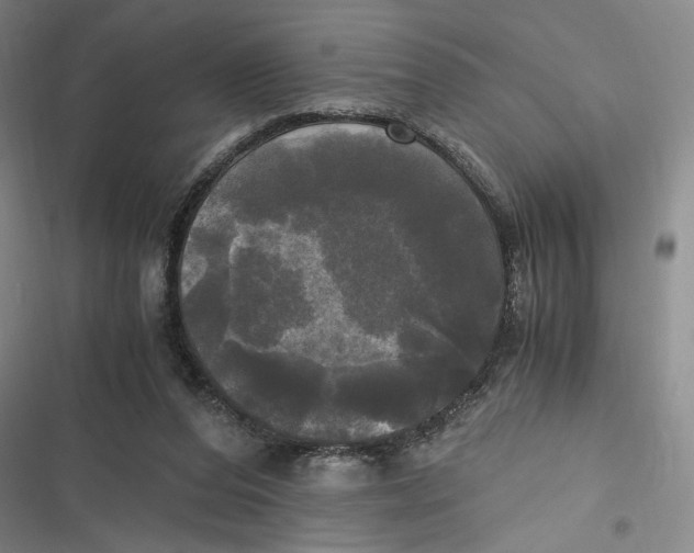 X0000116800208201001081341