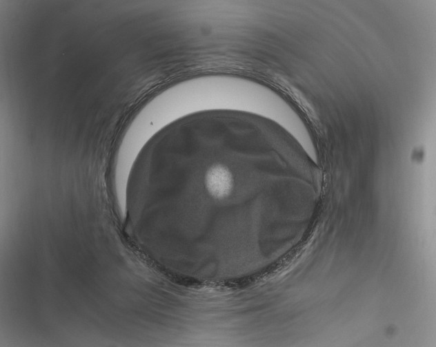 X0000116800209201001081341