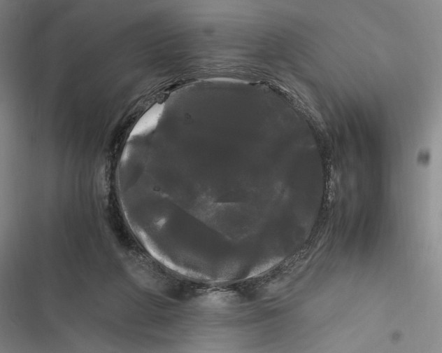 X0000116800210201001081341