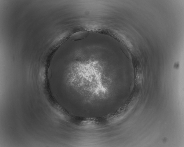 X0000116800211201001081341