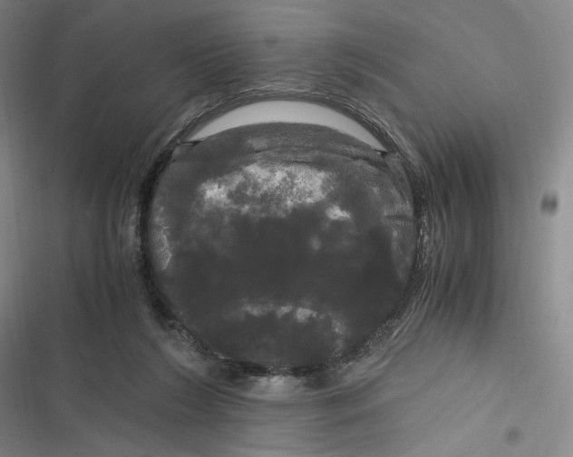 X0000116800212201001081341