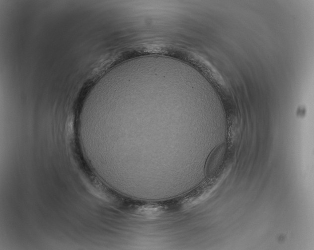 X0000116800213201001081341