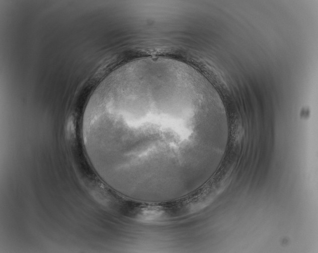 X0000116800214201001081341