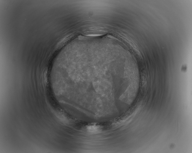 X0000116800216201001081341