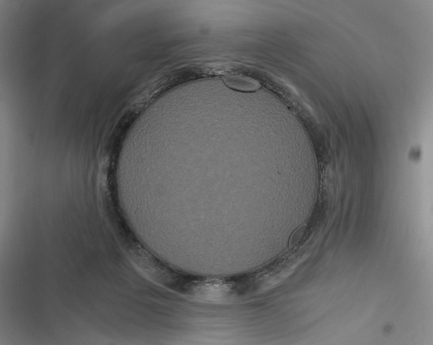X0000116800217201001081341