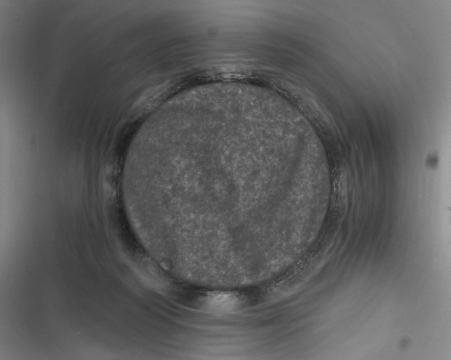 X0000116800218201001081341