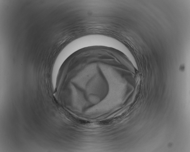 X0000116800219201001081341